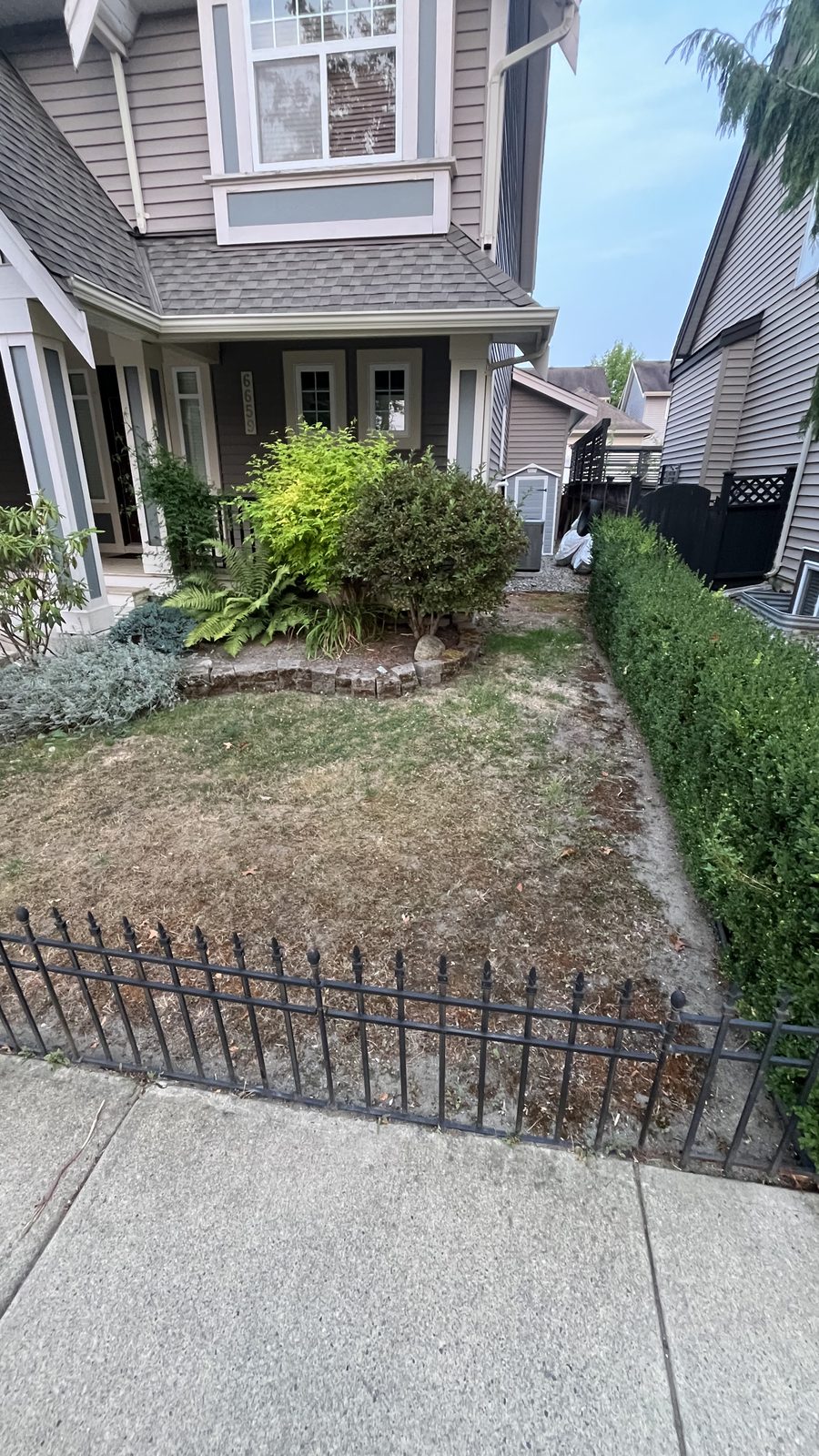 The same front yard before, dead patchy grass and bare dirt