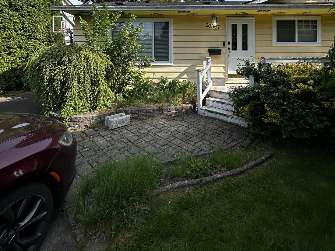 Overgrown front entry with rotting wood steps and a sunken paver landing