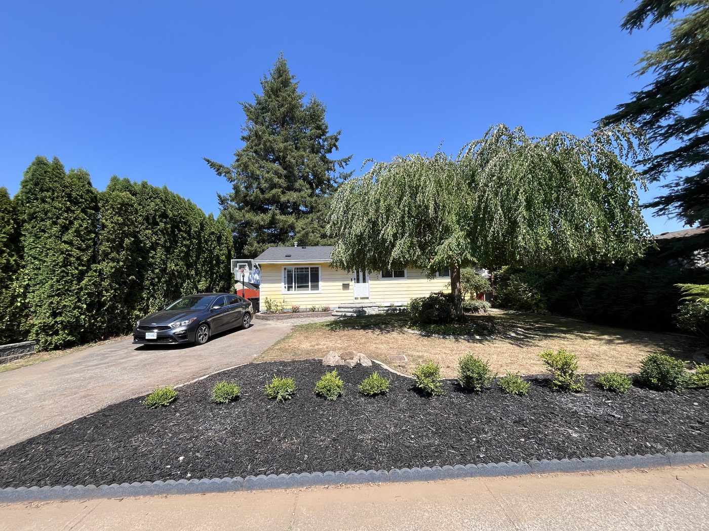 Wide view of a finished front yard with a fresh mulch bed and new boxwoods